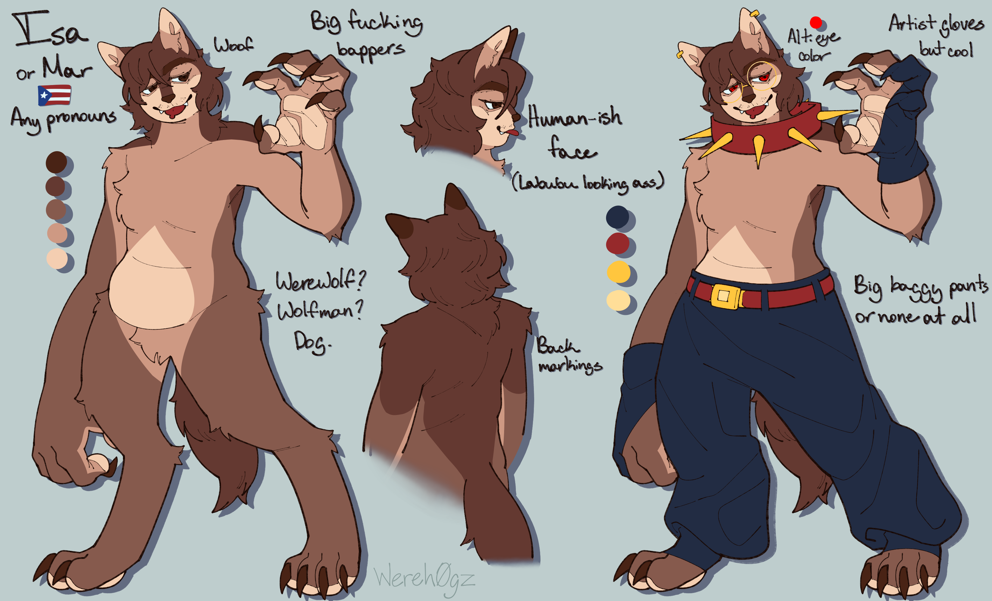 Updated reference for my fursona.