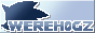 Website button.