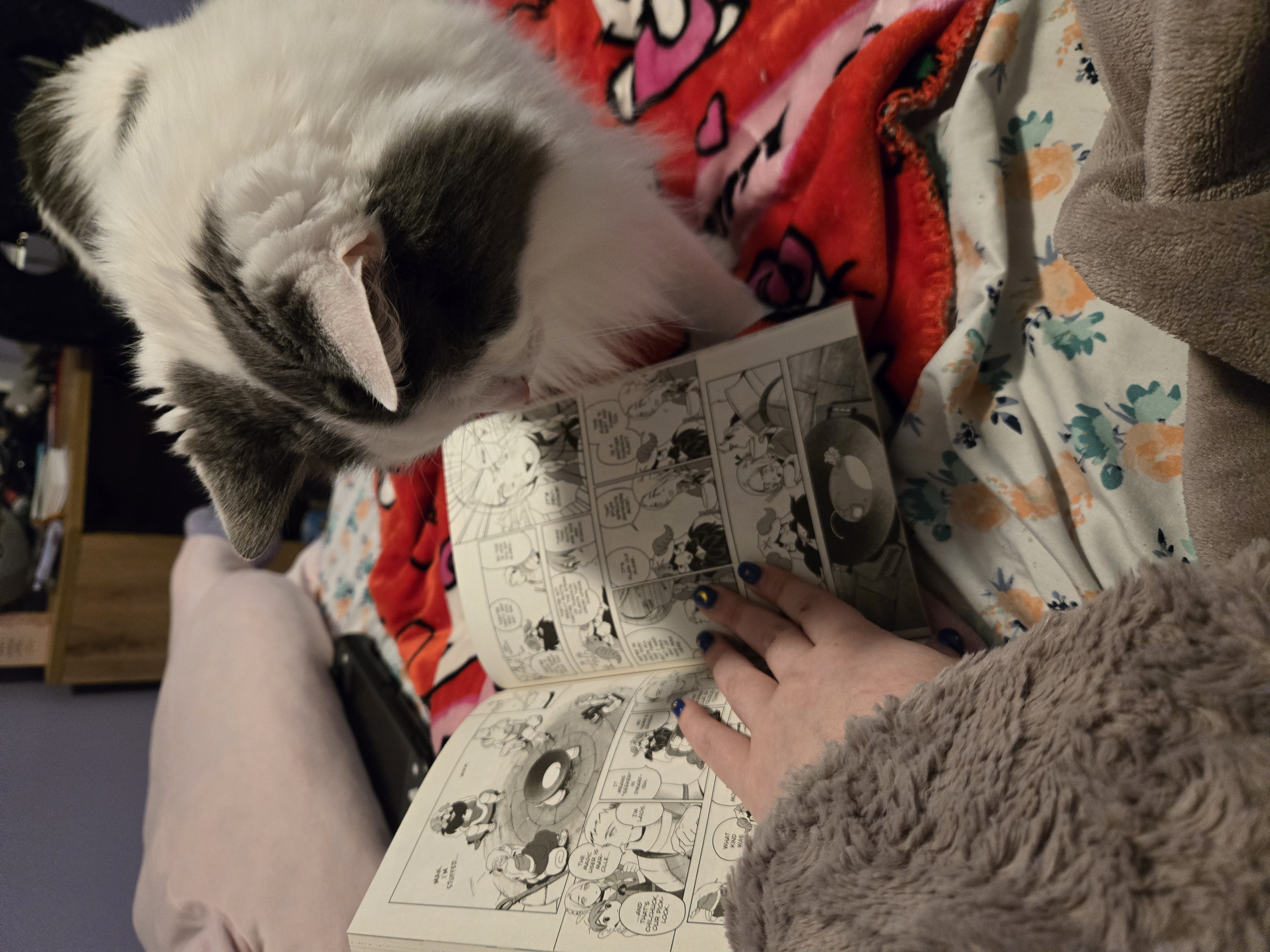 An image of my cat, Luna, looking at the pages of Delicious in Dungeon Vol. 1.